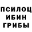 Псилоцибиновые грибы Magic Shrooms Jilo Zim