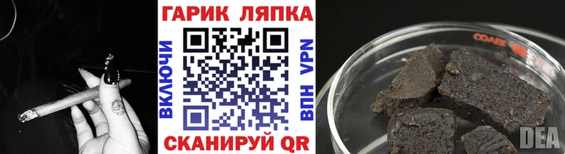 дарк нет наркотические препараты  Макарьев  Гашиш индика сатива 