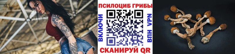 Галлюциногенные грибы ЛСД  Макарьев 