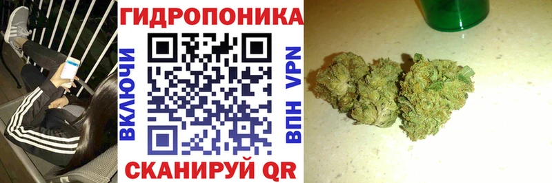 Каннабис SATIVA & INDICA  хочу   Макарьев 